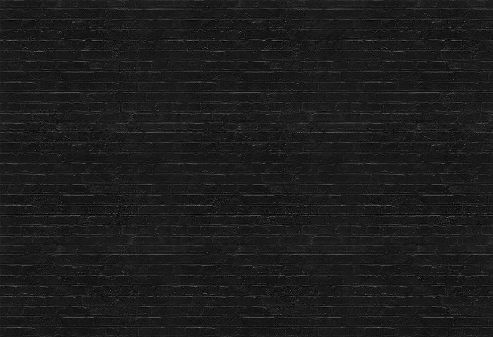 Black-Brick-Wall-Mural_92ebbb3f-3f40-46b3-8afc-40d4aa00bb4a_1400x.jpg